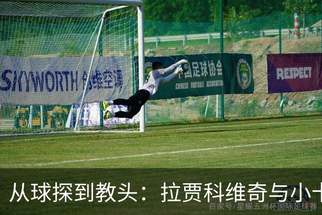 从球探到教头：拉贾科维奇与小卡的奇妙重逢